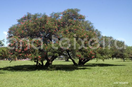 parquespoa04
