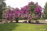 parquespoa02